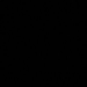 Meet your Posher, Brice